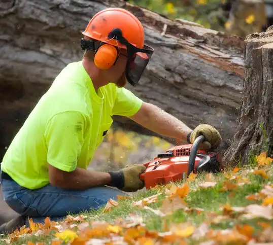 tree services Mooresville